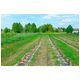 Agrotkanina PP czarna UV 90gr 100x3,2m -zdjęcie numer 3