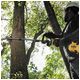Podkaszarka 54V SPLIT BOOM DeWALT -zdjęcie numer 8