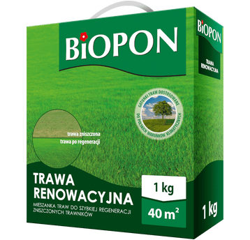 Trawa renowacyjna 1kg PL630/64/15329/04N2A