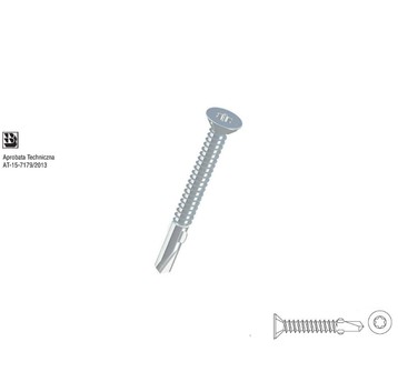 Wkr.sam.drew+sta.WSDST-6,3x50 torx (250)